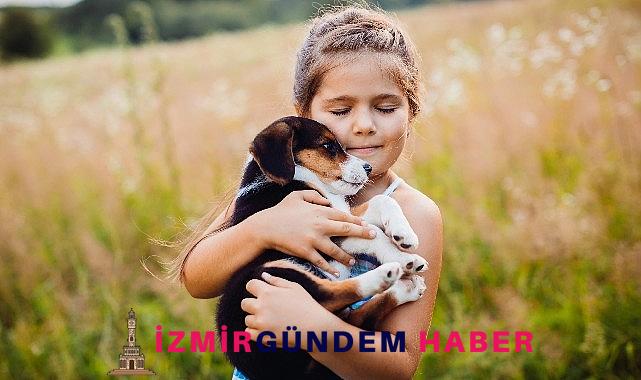 Alerji yöntemi için 20 öneri !