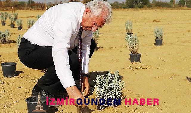 Ödemiş Belediyesi’nden “Tıbbi-Aromatik Bitki Bahçesi” hamlesi